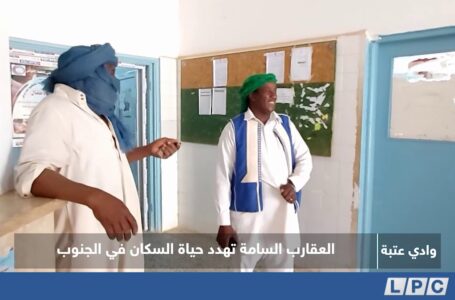 تقرير | العقارب السامة تهدد حياة السكان في الجنوب.