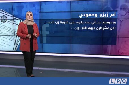 تقرير |  قرار الرئاسي بفرض غرامة لعدم ارتداء الكمامة يثير الجدل.