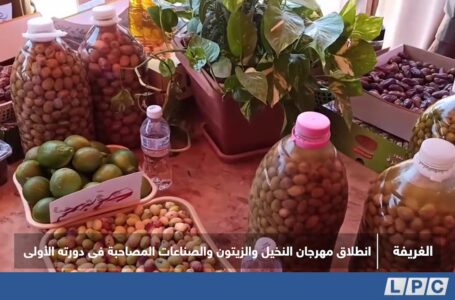 تقرير | انطلاق مهرجان النخيل والزيتون والصناعات المصاحبة فى دورته الأولى.