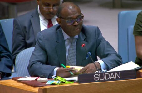 مجلس الأمن يعتمد وثائق تورط الإمارات وقوات حفتر في حرب السودان