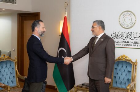 تكالة وبيجيتش يبحثان تعزيز العلاقات الليبيـة التركية ودعم الاستقرار في ليبيـا