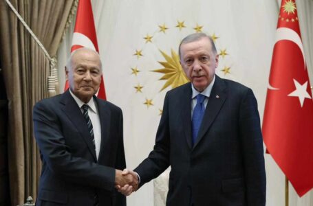 أردوغان وابوالغيط يبحثان أهمية التعاون الإقليمي لتحقيق الاستقرار في ليبيا